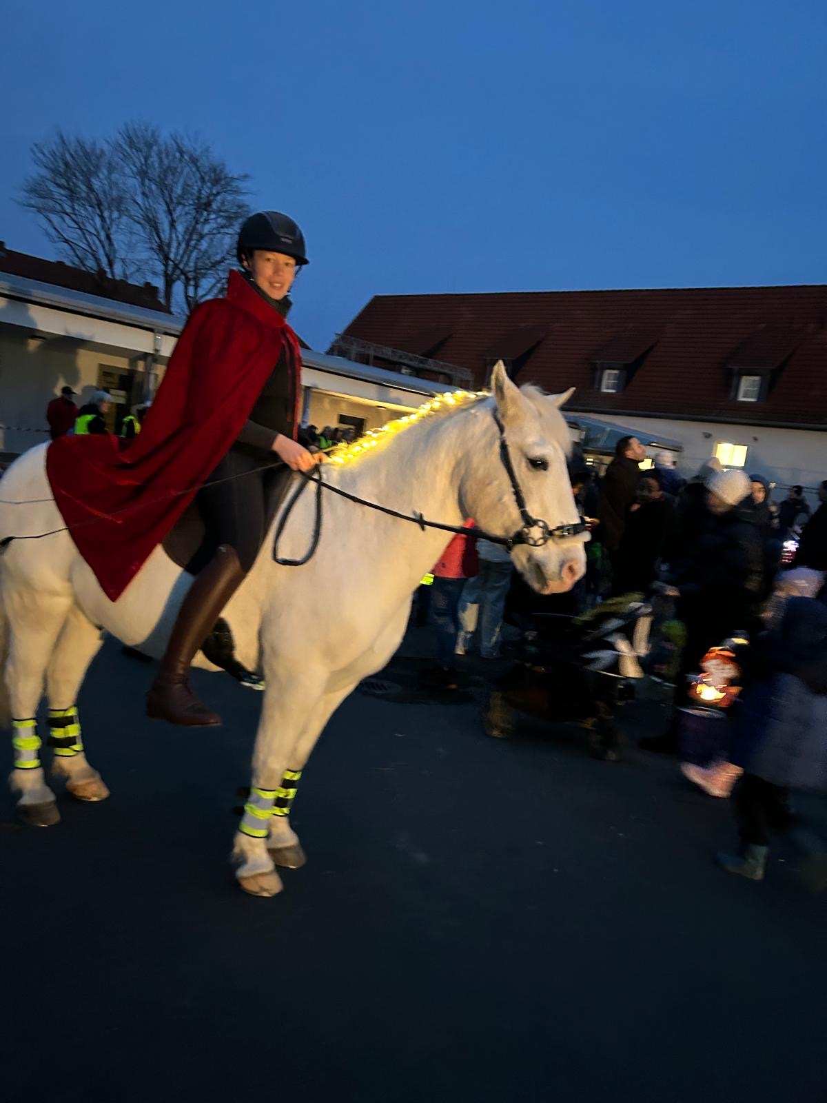 33f0c43b-58c5-425d-9256-df9c8e4e7680